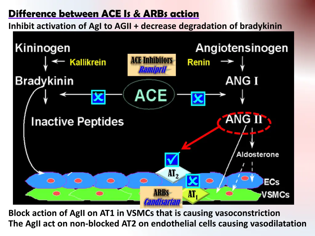 difference between ace is arbs action
