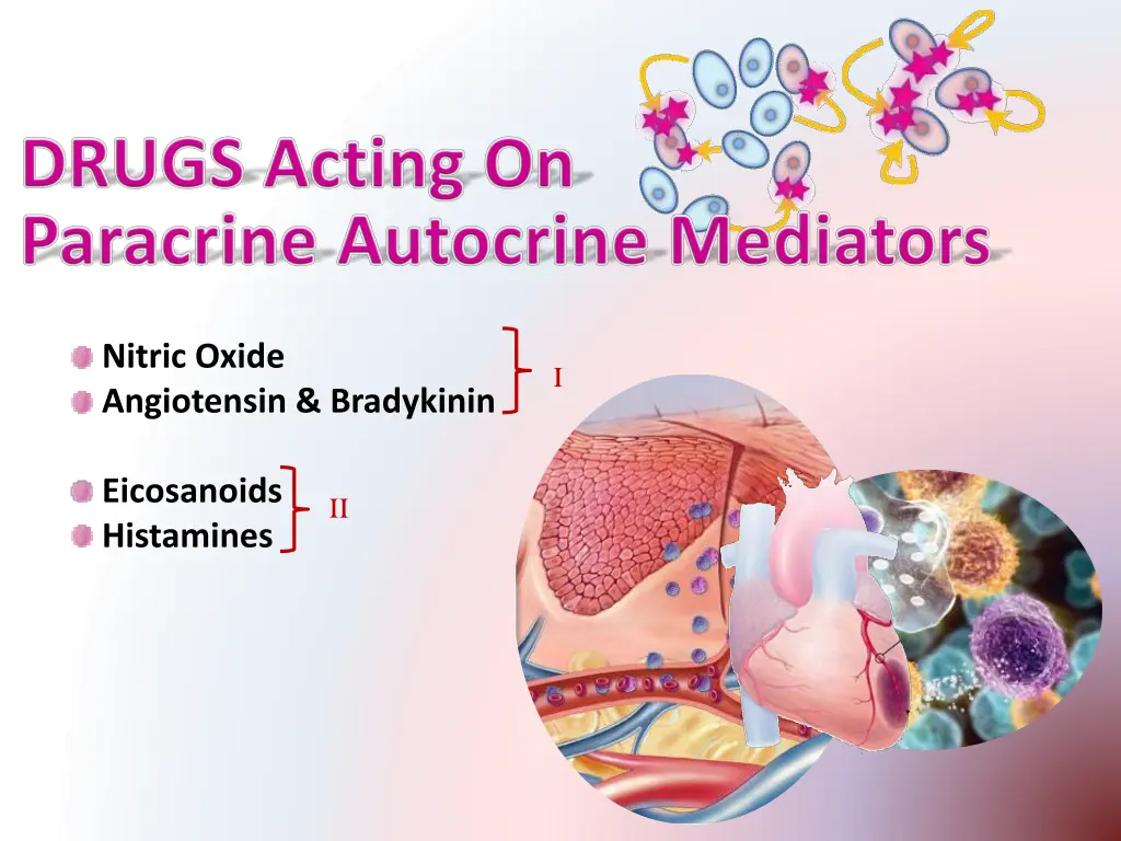 nitric oxide angiotensin bradykinin