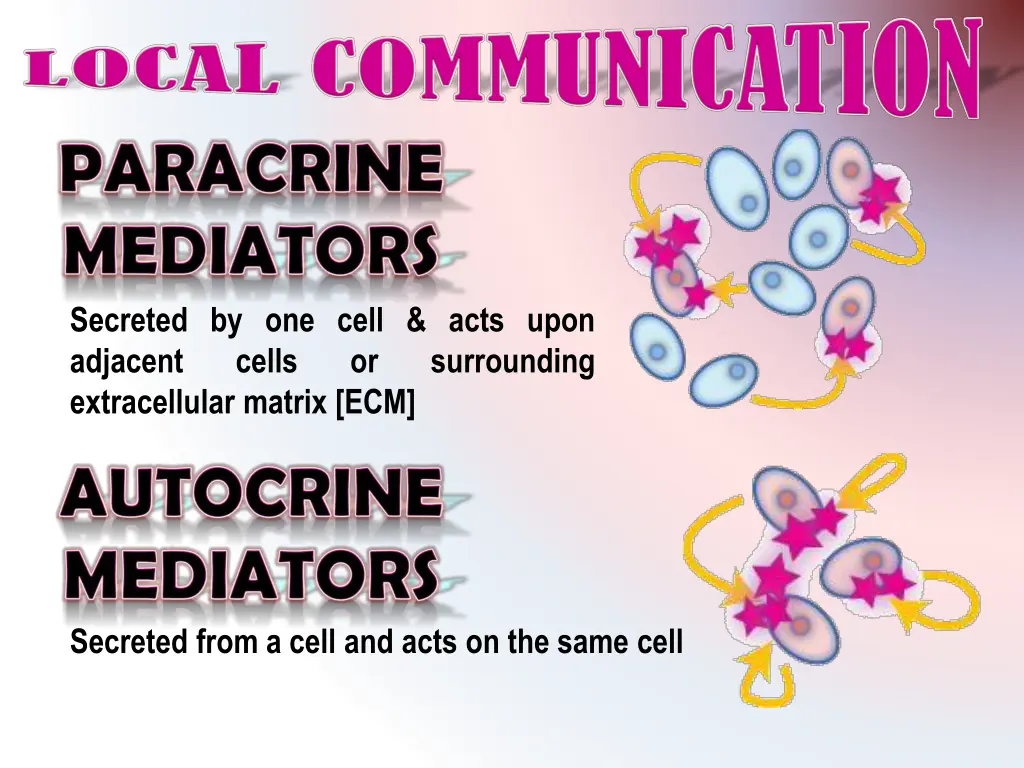 secreted by one cell acts upon adjacent cells