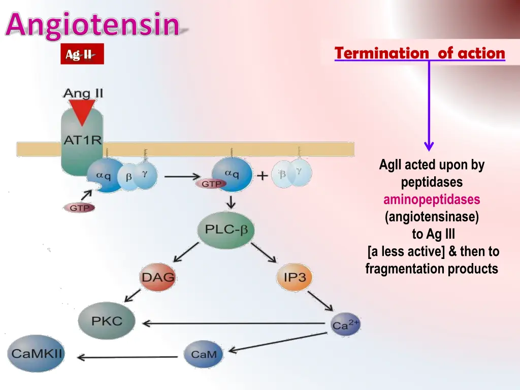 termination of action 1