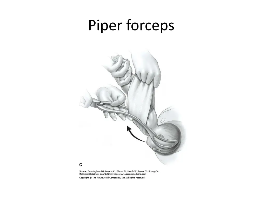 piper forceps