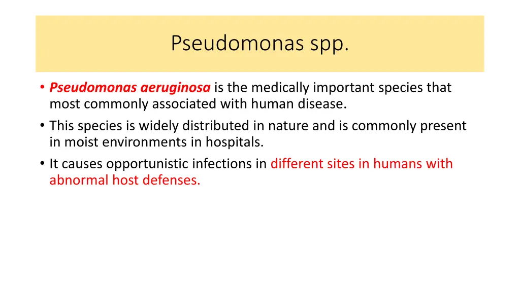 pseudomonas spp 1
