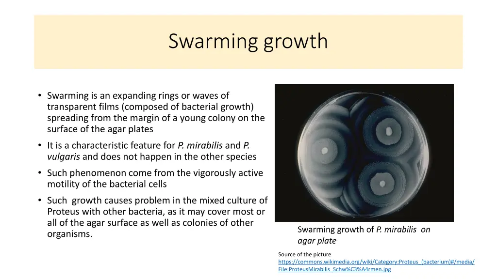 swarming growth