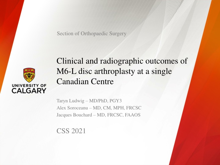 section of orthopaedic surgery