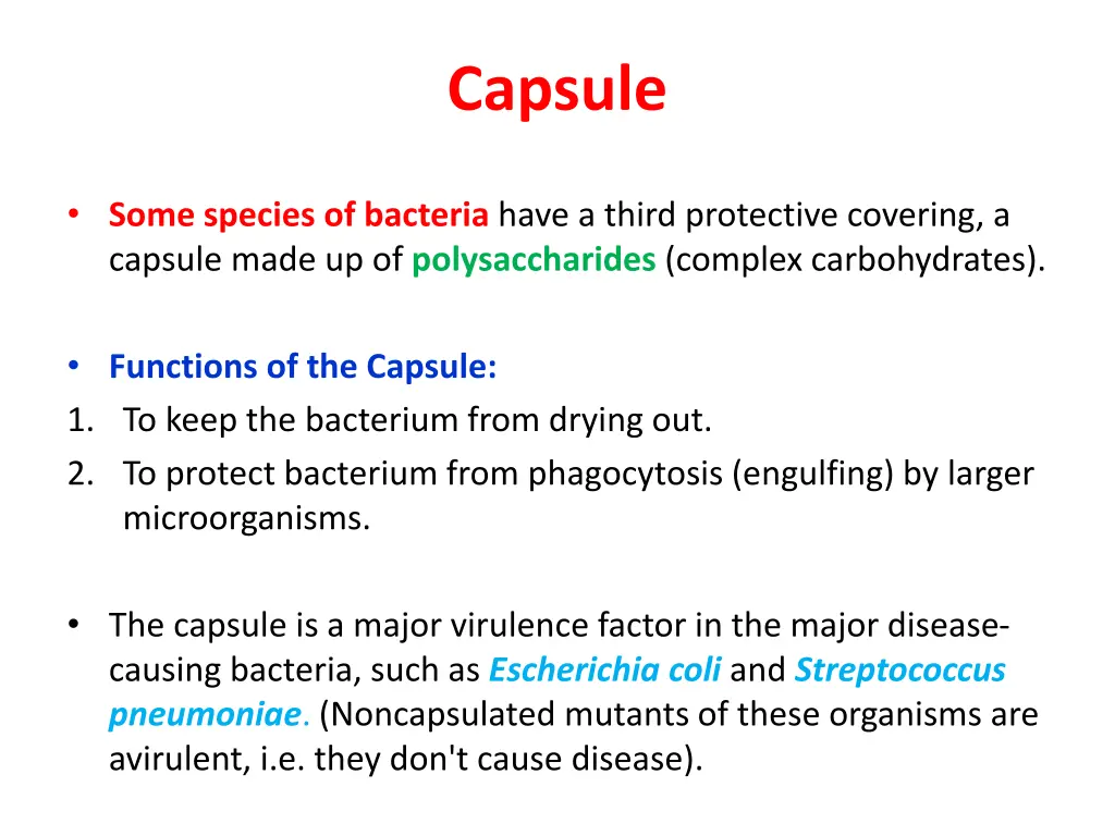 capsule