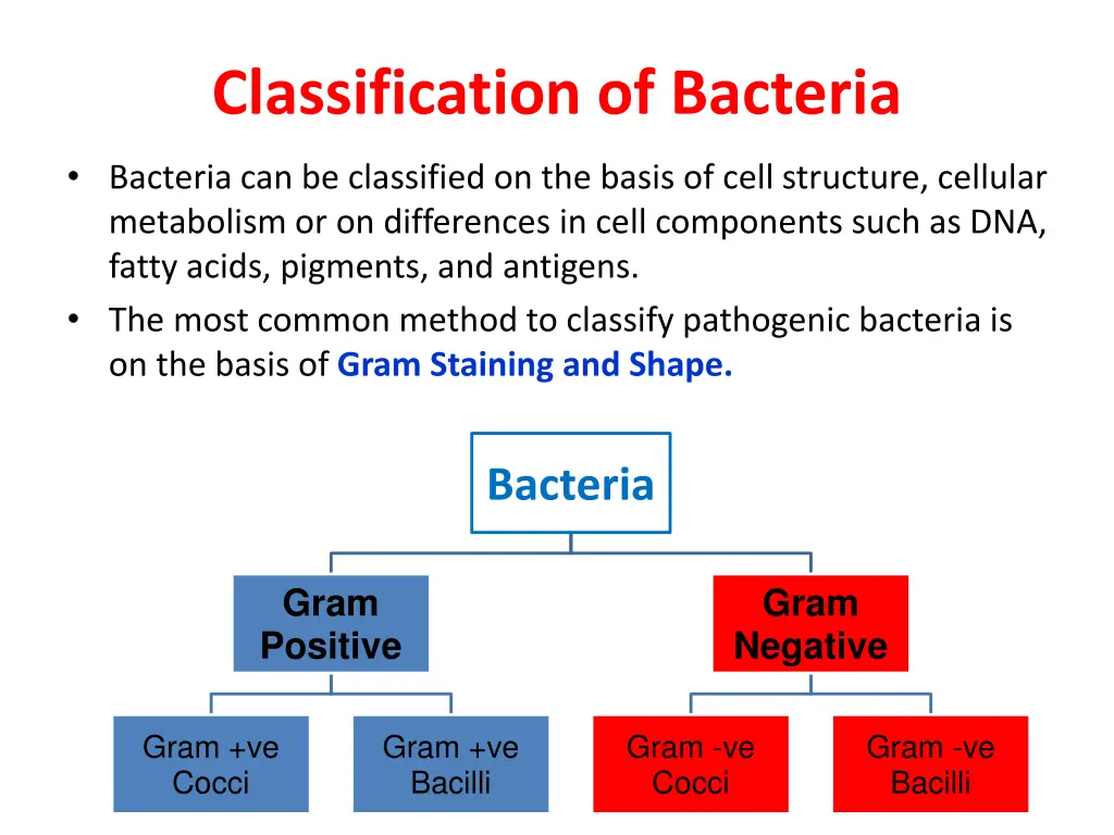 classification of bacteria