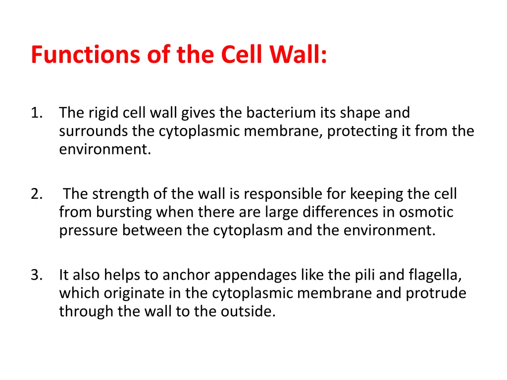 functions of the cell wall