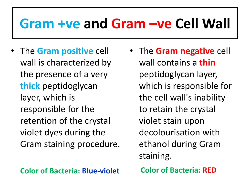 gram ve and gram ve cell wall