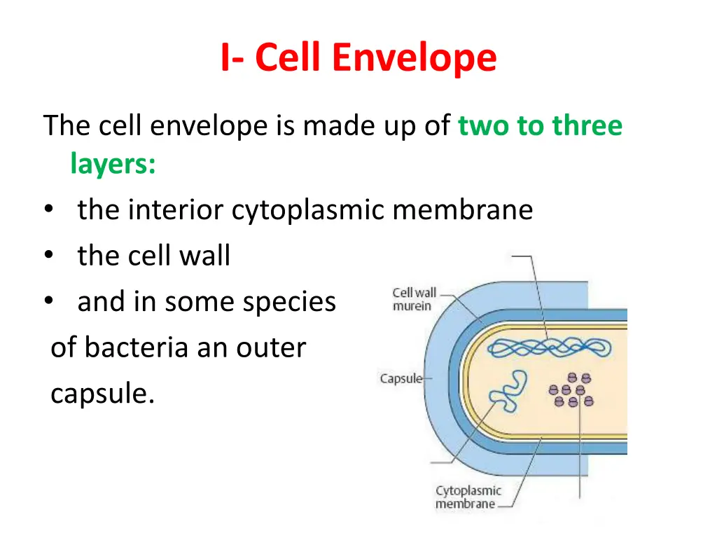 i cell envelope