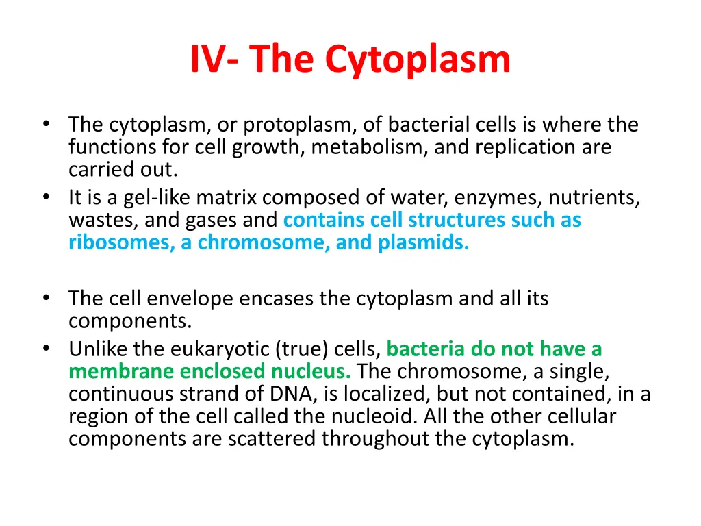 iv the cytoplasm