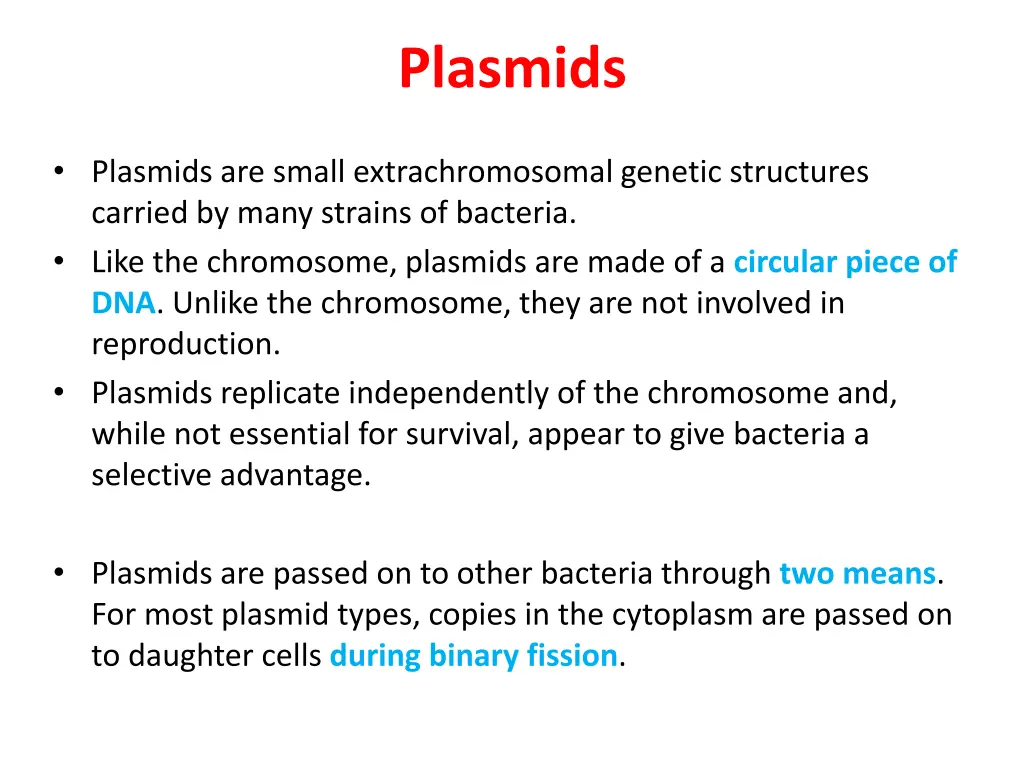 plasmids