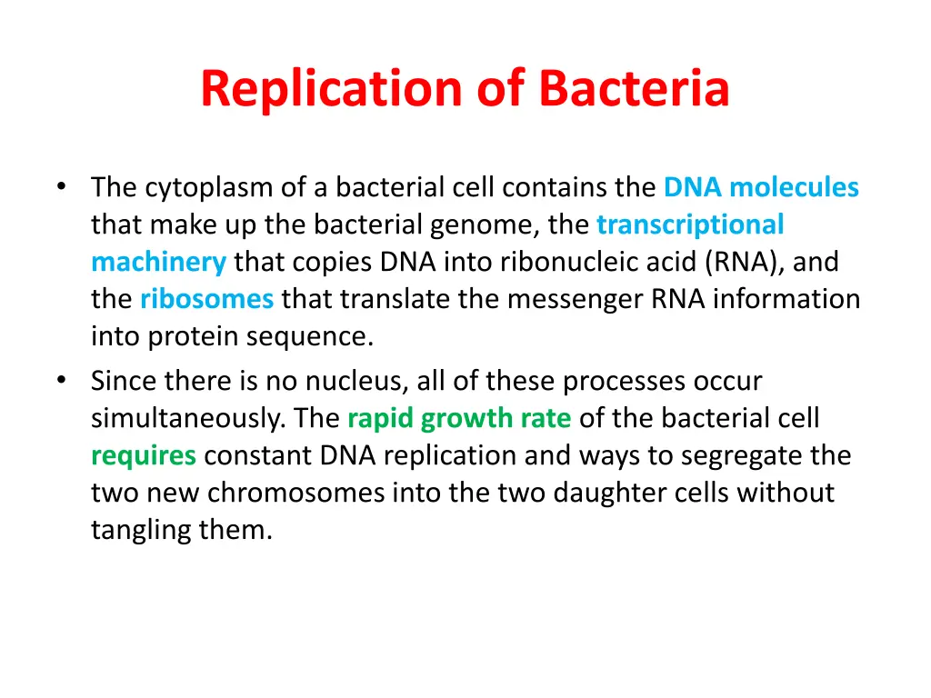 replication of bacteria 1