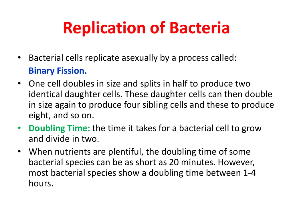 replication of bacteria