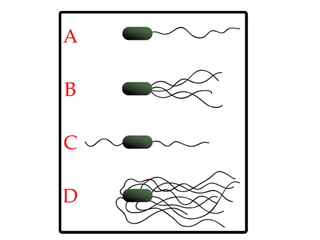 slide20