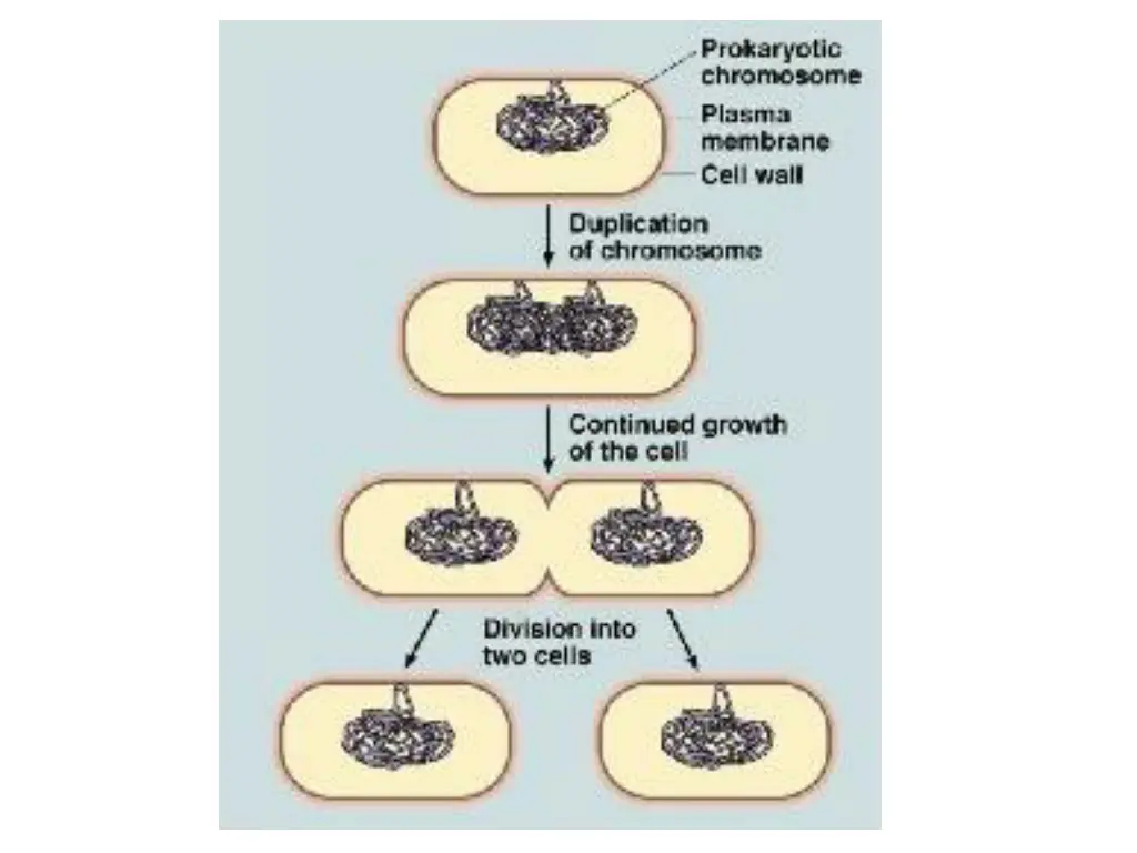 slide34
