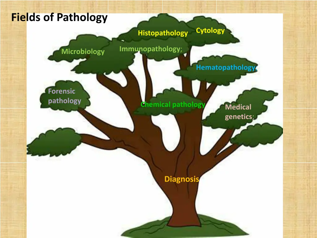 fields of pathology