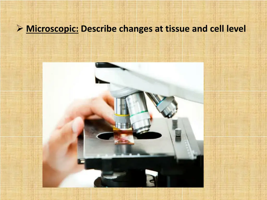 microscopic describe changes at tissue and cell