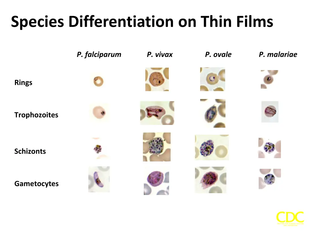 species differentiation on thin films