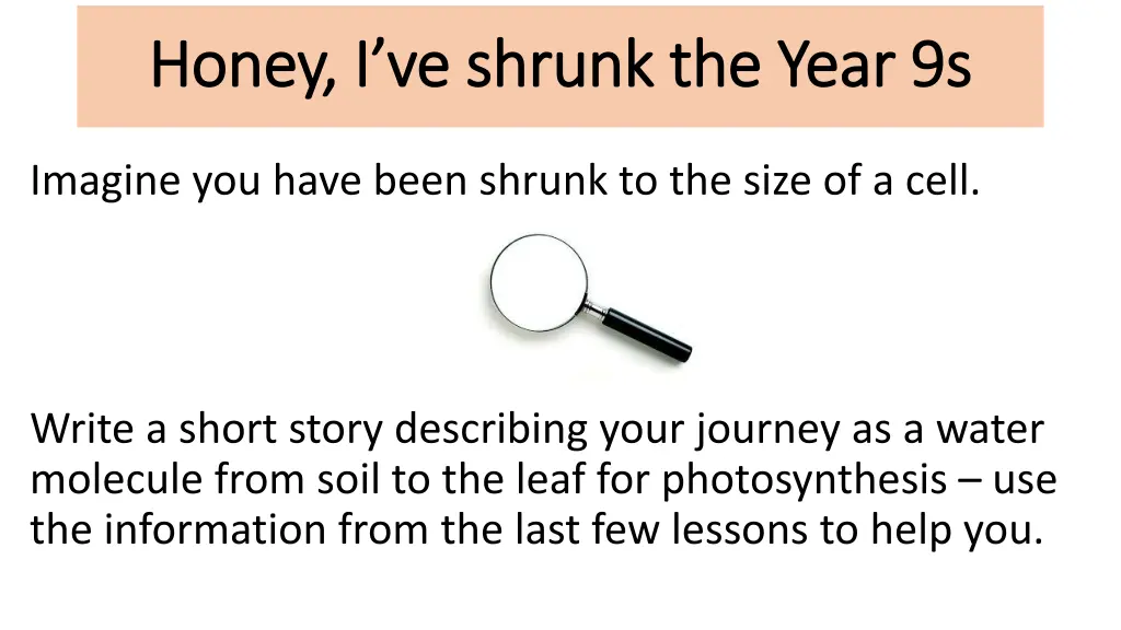 honey i ve shrunk the year 9s honey i ve shrunk
