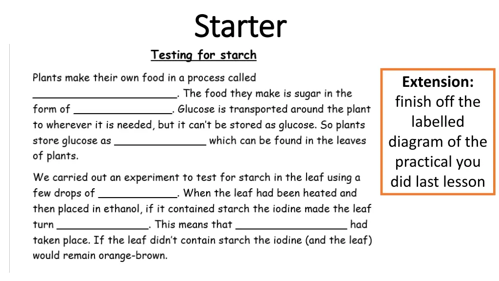 starter starter