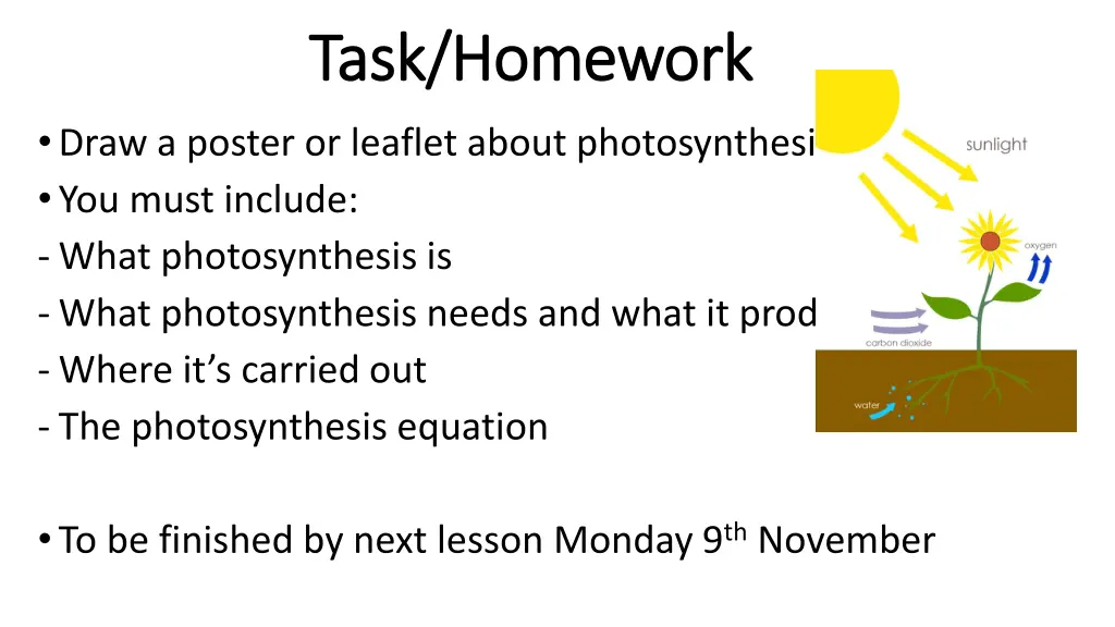 task homework task homework