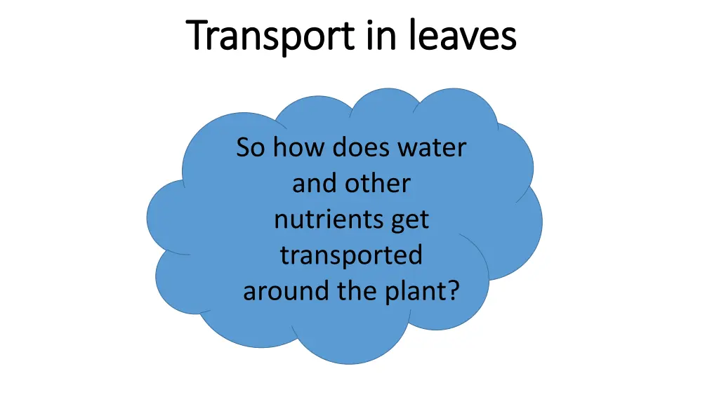 transport in leaves transport in leaves