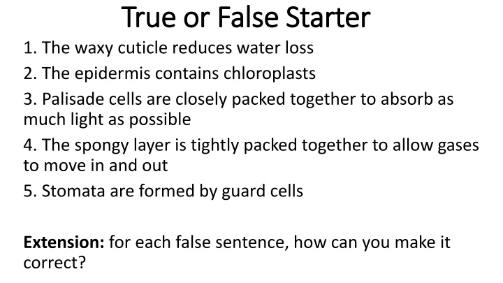 true or false starter true or false starter