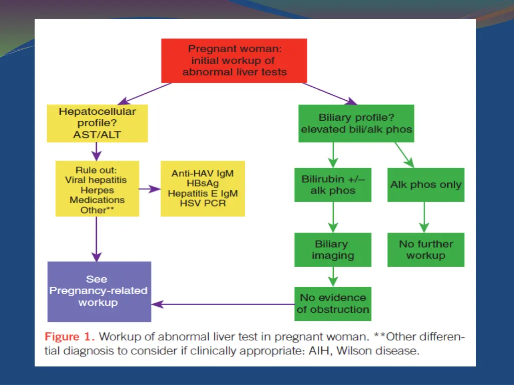 slide7
