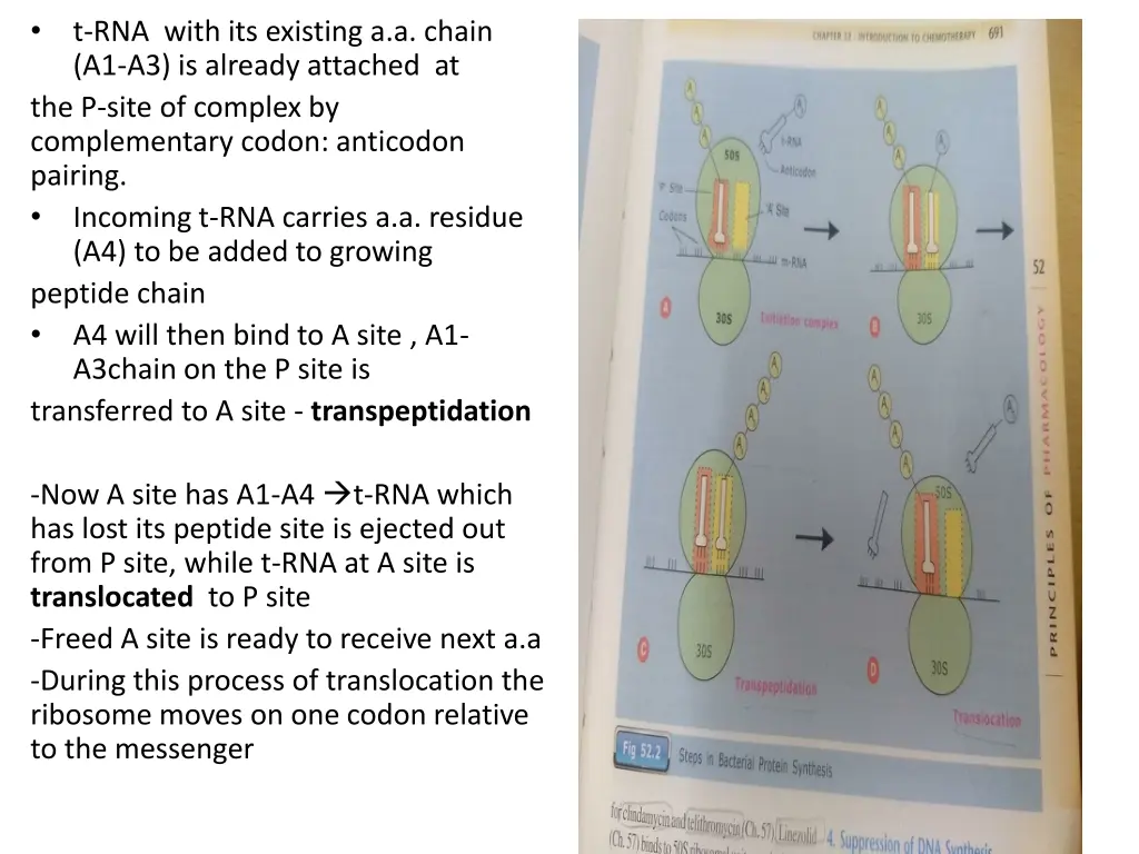 slide6