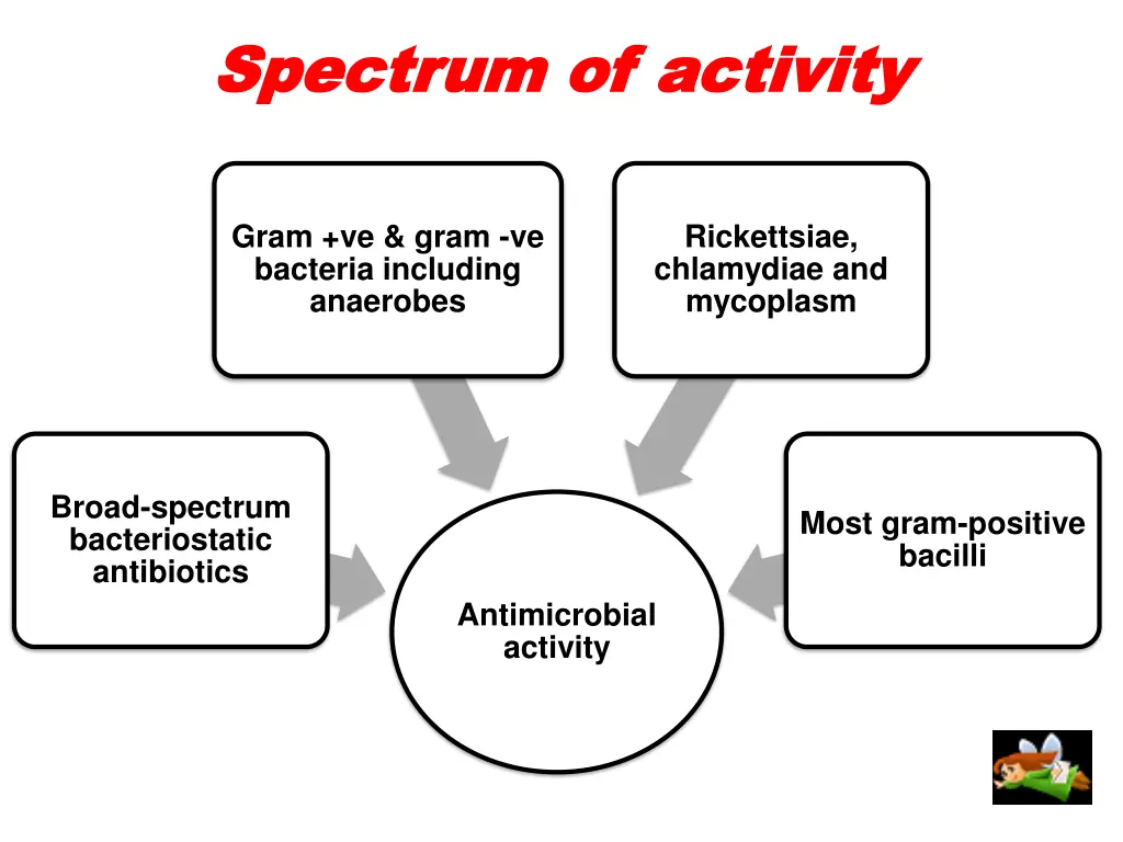 spectrum of activity spectrum of activity