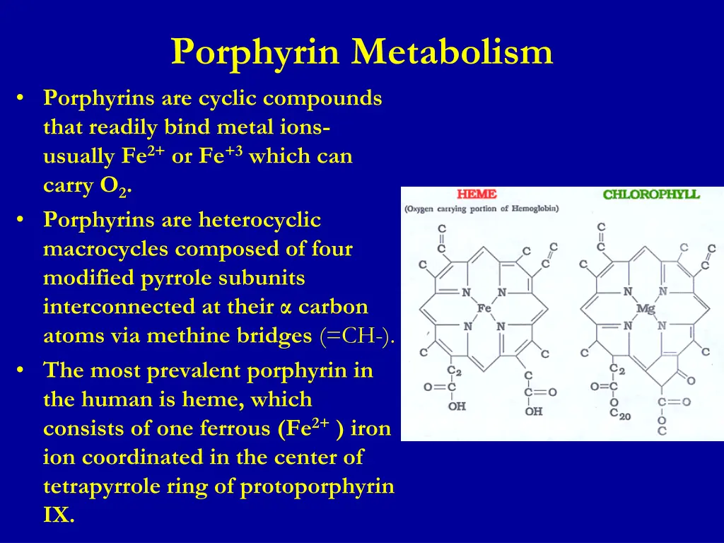 porphyrin metabolism porphyrins are cyclic