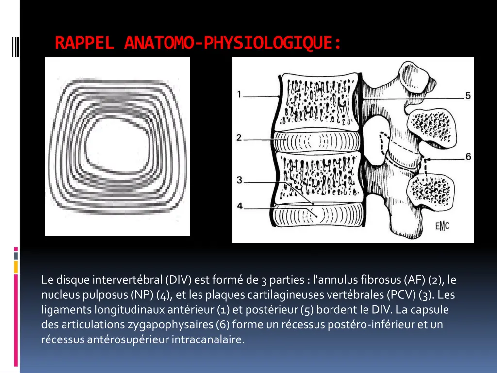 rappel anatomo physiologique