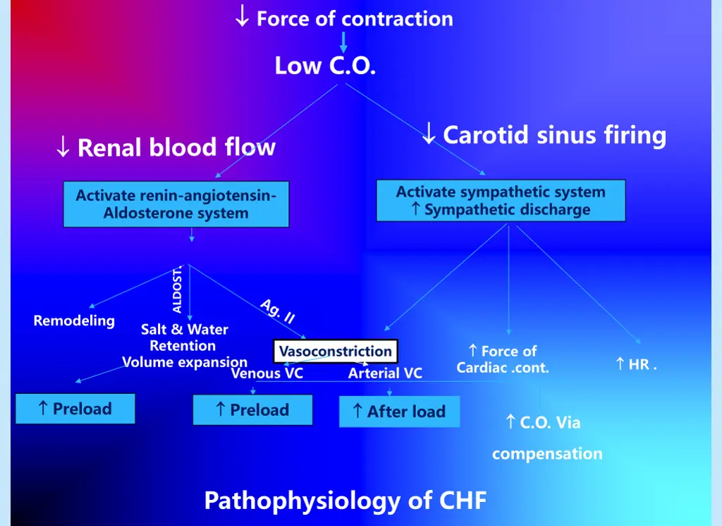 force of contraction