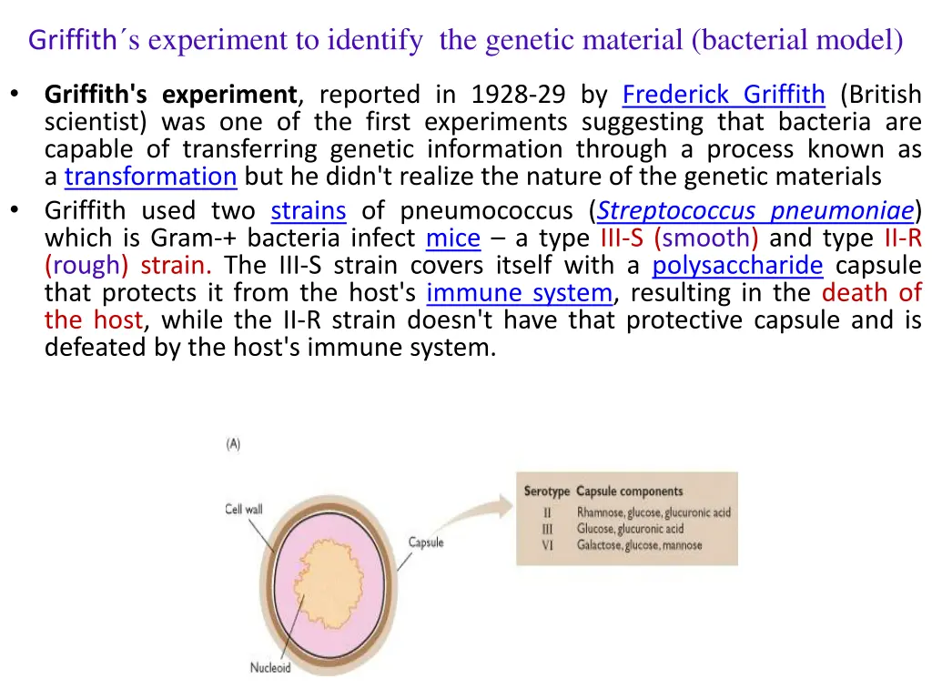 griffith s experiment to identify the genetic