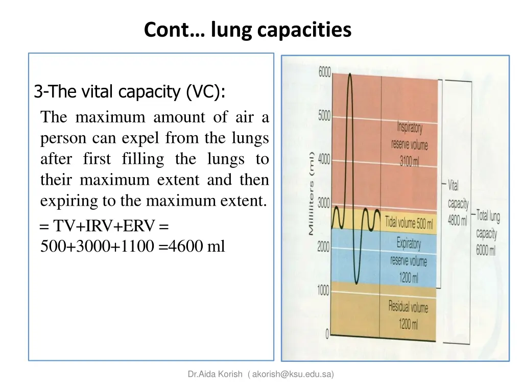 cont lung capacities