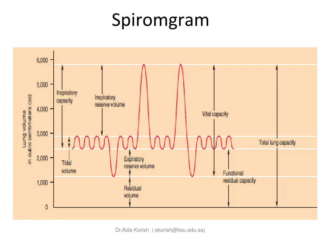 spiromgram
