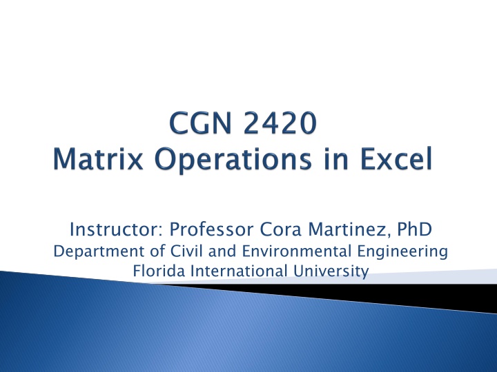 instructor professor cora martinez phd department