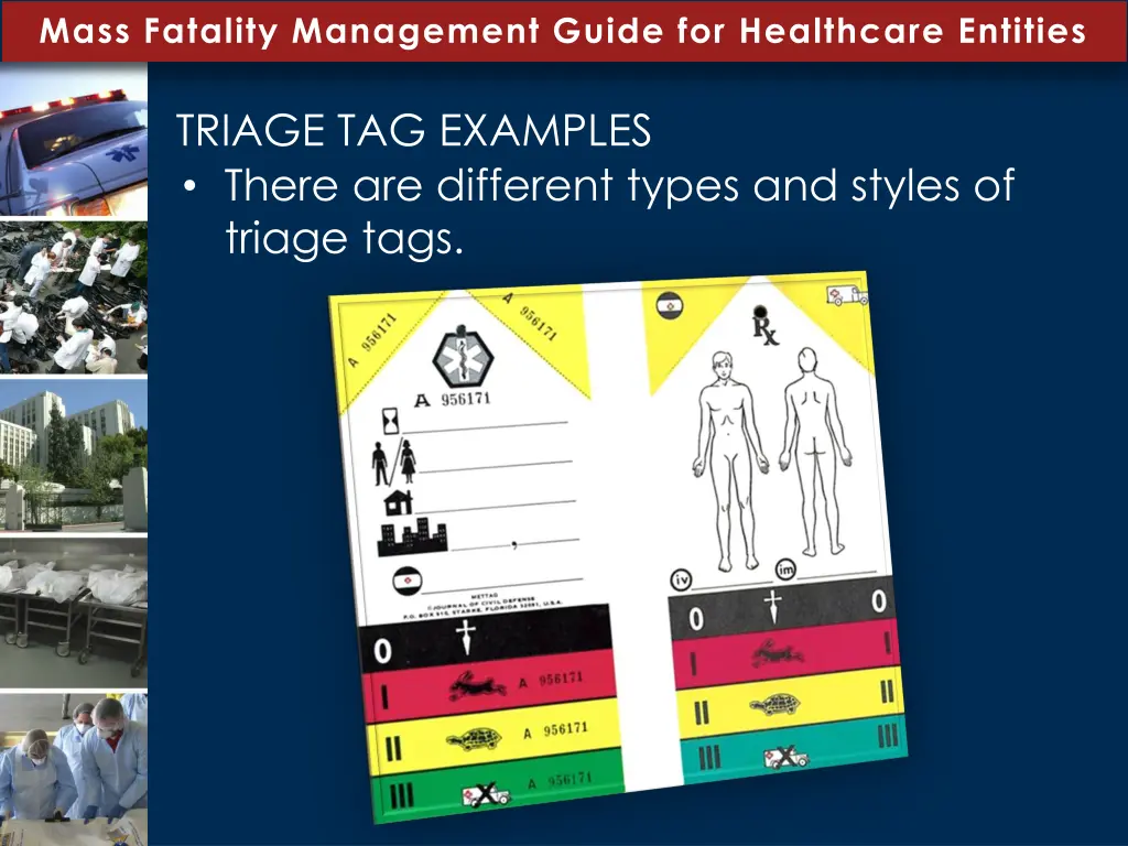 mass fatality management guide for healthcare 2