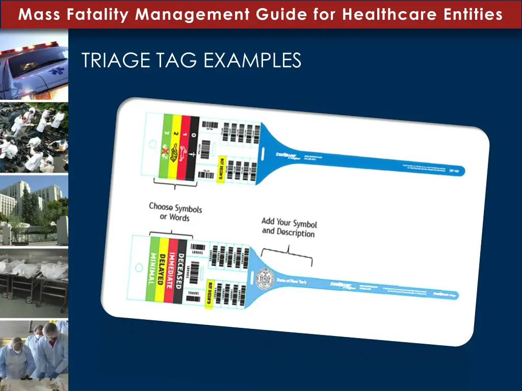 mass fatality management guide for healthcare 3