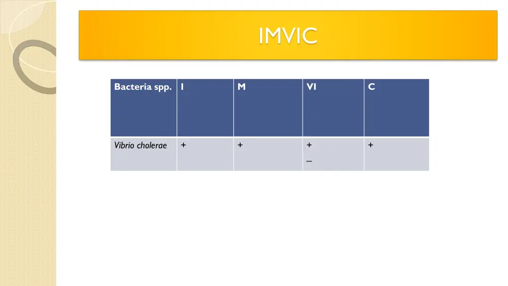 bacteria spp