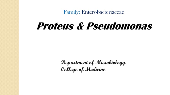 family enterobacteriaceae