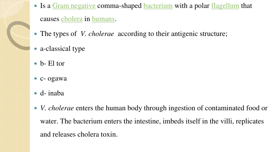 is a gram negative comma shaped bacterium with