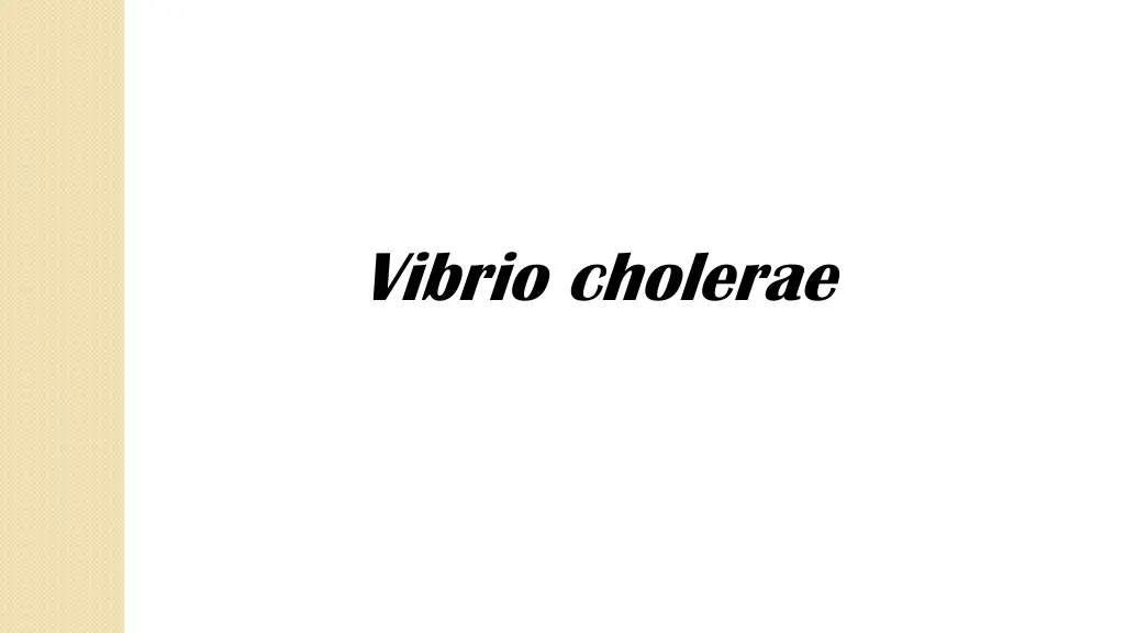 vibrio cholerae