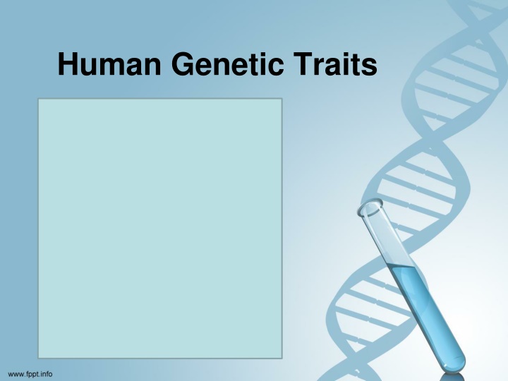 human genetic traits