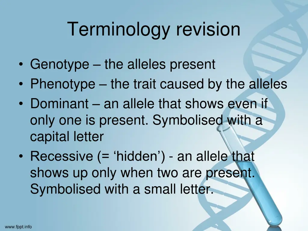 terminology revision