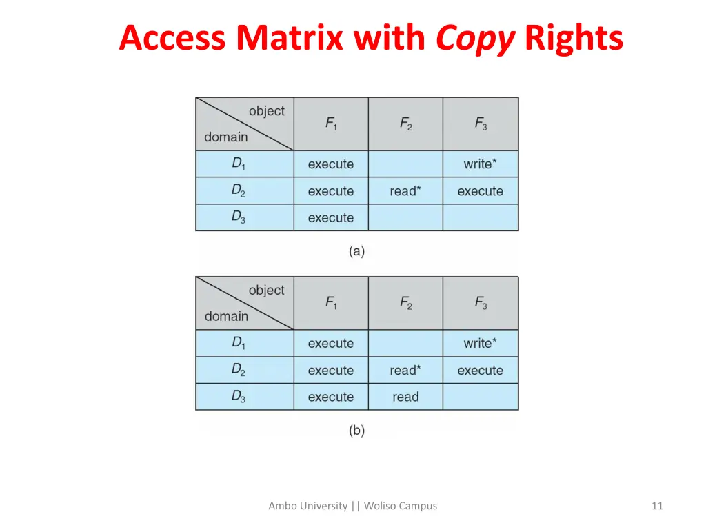 access matrix with copy rights