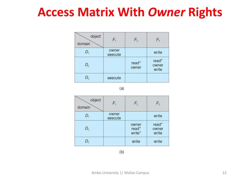access matrix with owner rights