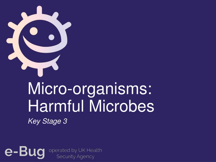 micro organisms harmful microbes key stage 3