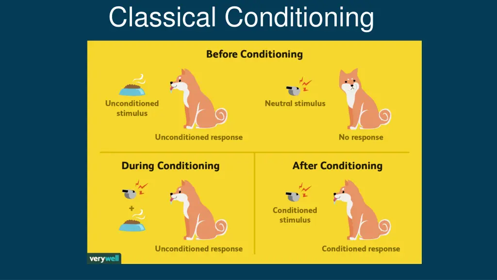 classical conditioning