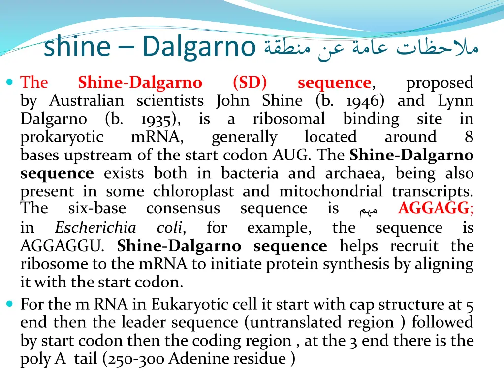 slide5
